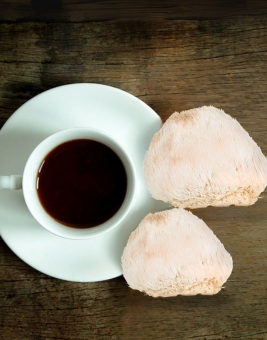 The Benefits of Lion’s Mane Mushroom Tea