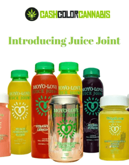 Inside the Juice Joint Vibe: Where Science Meets Soul and Wellness Gets Flavored